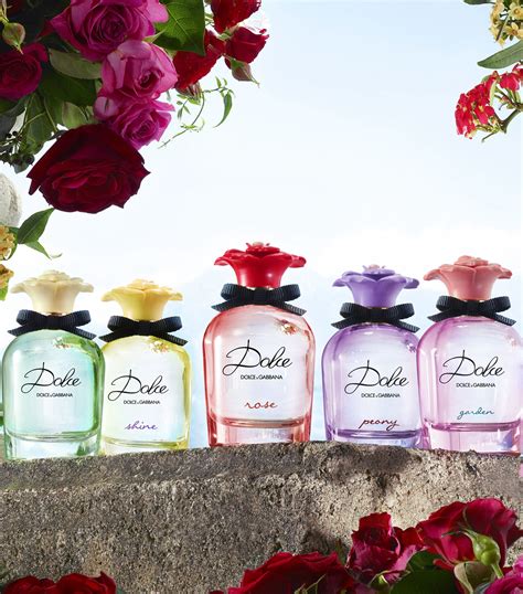 dolce gabbana rose collection|eau de toilette dolce rose.